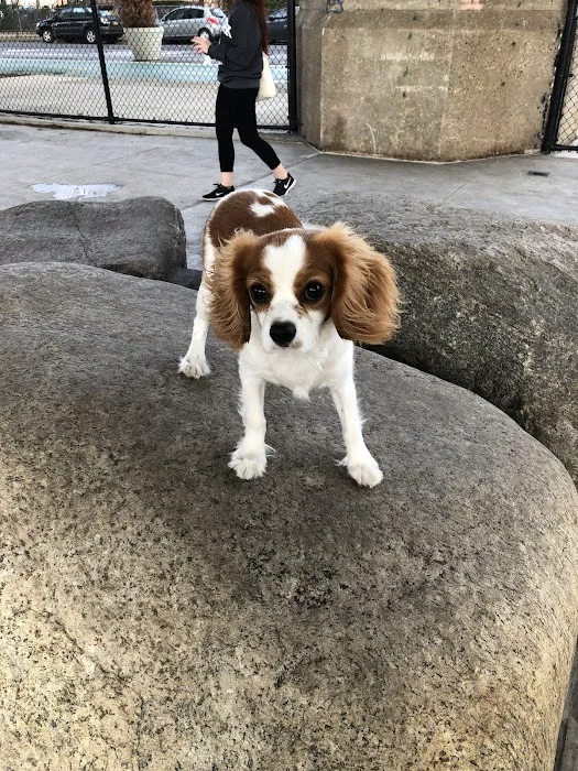 Triborough Bridge Playground C Dog Run Picture 2