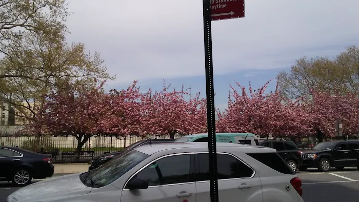 Triboro Plaza Picture 5