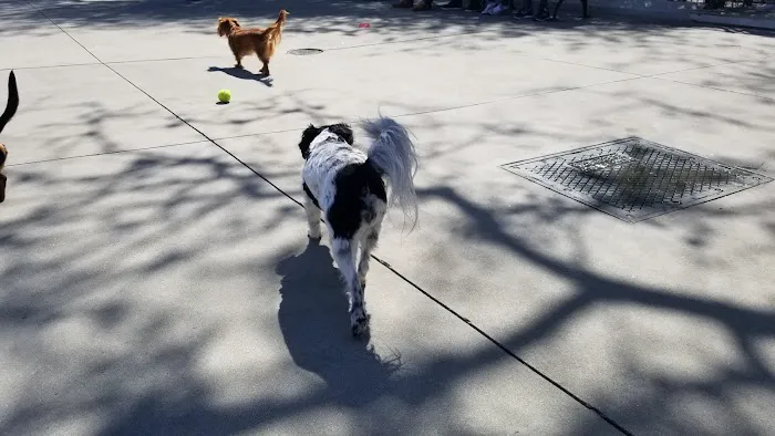 Carl Schurz Park Dog Runs Picture 4