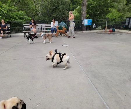 Carl Schurz Park Dog Runs