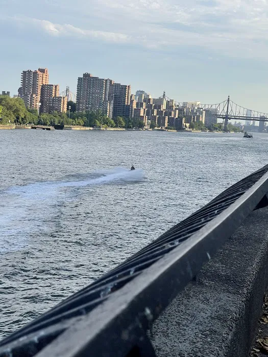 Carl Schurz Park Dog Runs Picture 2