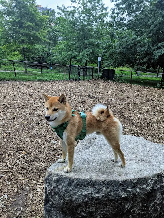 Franz Sigel Dog Run Picture 1