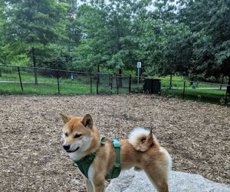 Franz Sigel Dog Run