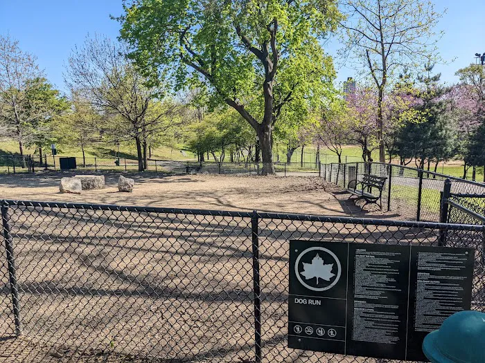 Franz Sigel Dog Run Picture 8