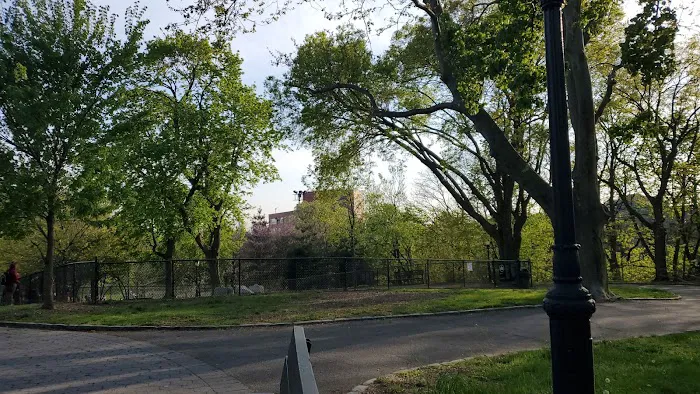 Franz Sigel Dog Run Picture 2