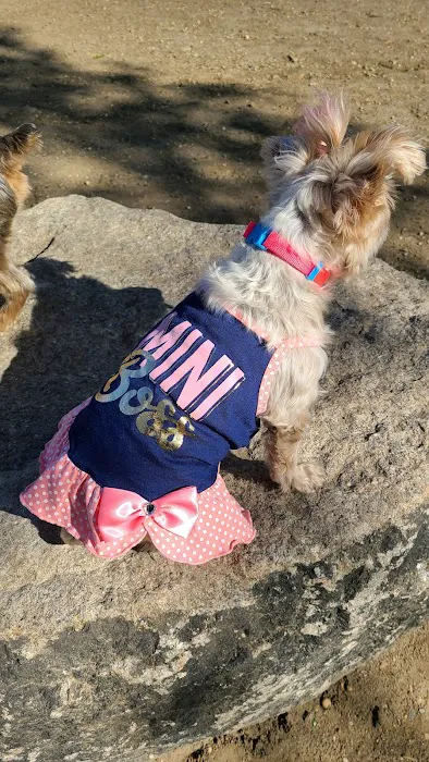 Franz Sigel Dog Run Picture 4
