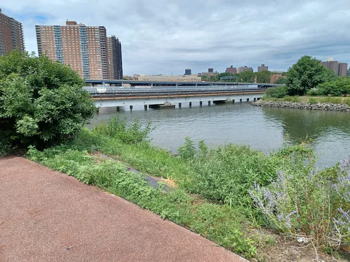 Mill Pond Park Picture 3