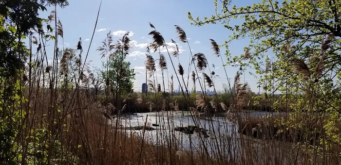 Harlem River Park Bikeway Picture 10