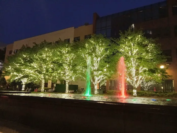 Renaissance Plaza Picture 4