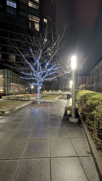 Renaissance Park Picture 4