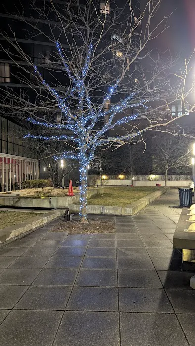 Renaissance Park Picture 6