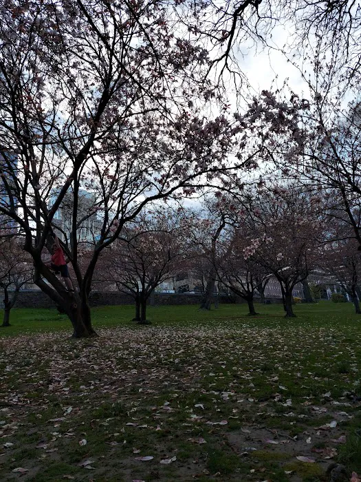 White Plains Park Picture 1