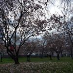 White Plains Park