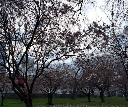 White Plains Park