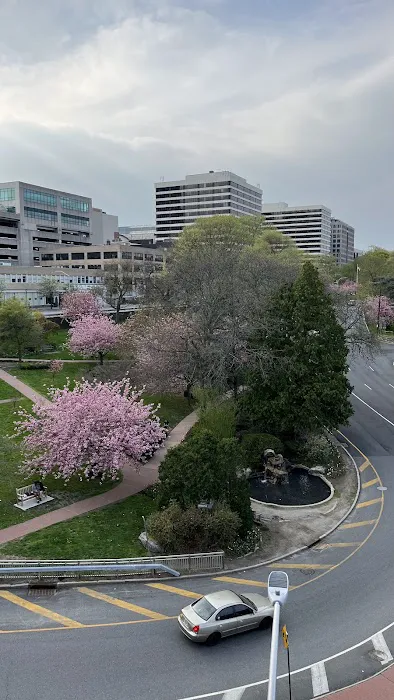 Tibbits Park Picture 2