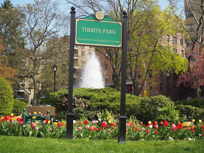 Tibbits Park Picture 4