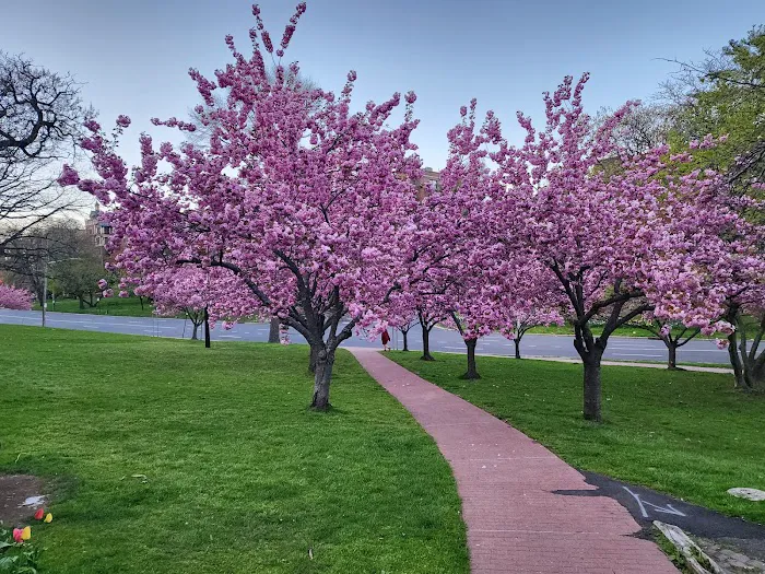 Tibbits Park Picture 3