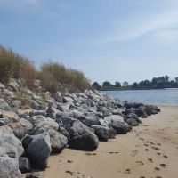 White Island ico