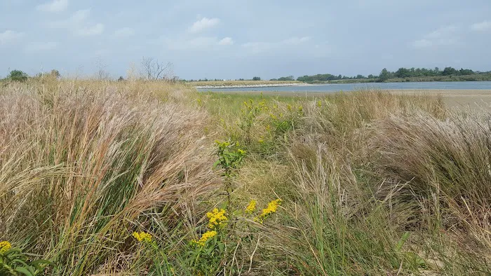 White Island Picture 4