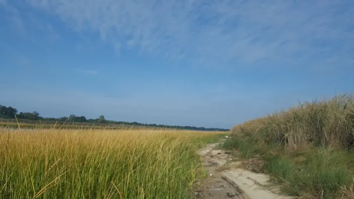 White Island Picture 7