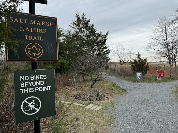 Salt Marsh Nature Trail park Picture 9