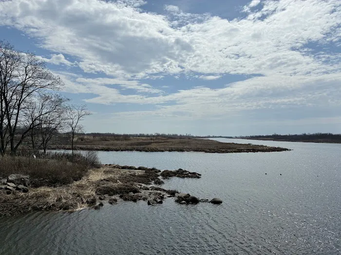 Salt Marsh Nature Trail park Picture 1