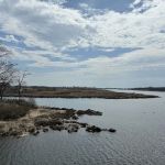 Salt Marsh Nature Trail park