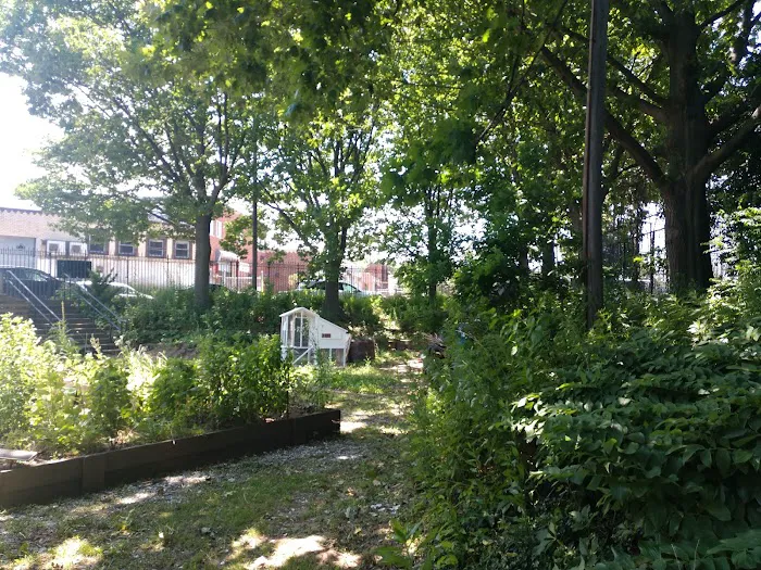 Fidler-Wyckoff House Park Picture 1