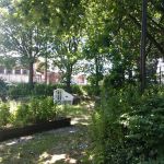Fidler-Wyckoff House Park