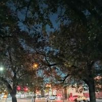 Church Avenue ico