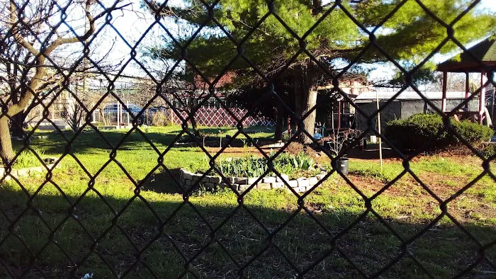 Powell Street Garden Picture 3