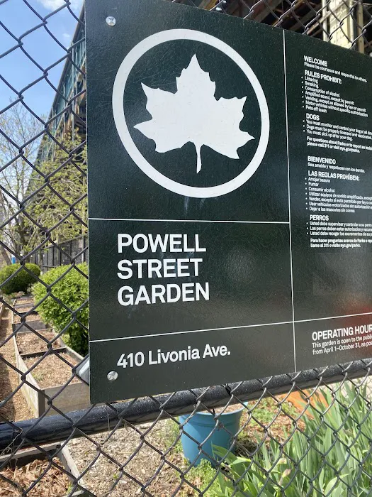 Powell Street Garden Picture 8