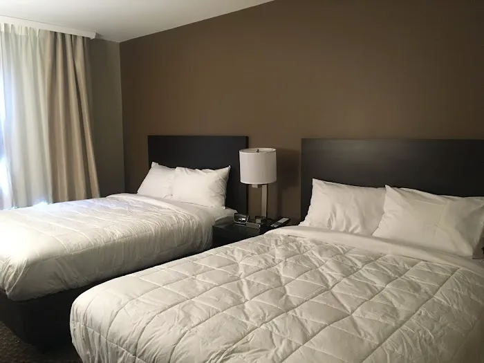 The Williams Hotel Picture 8