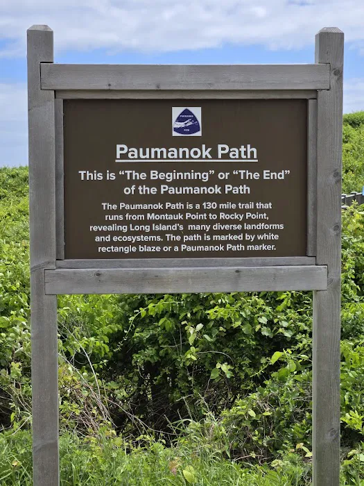Paumanok Path Campsite Picture 1