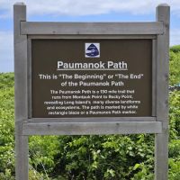 Paumanok Path Campsite ico