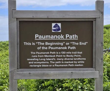 Paumanok Path Campsite