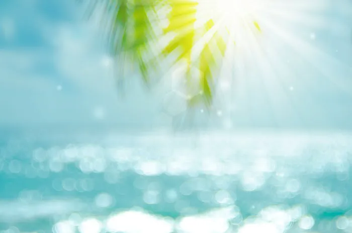 Ocean Surf Resort Picture 4