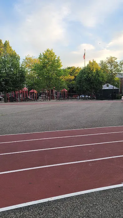 Tiger Playground Picture 10