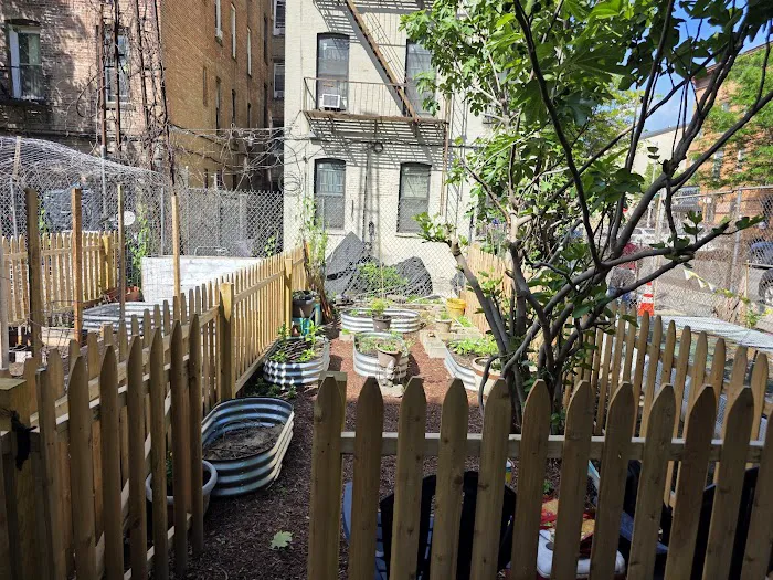 Jefferson Street Community Garden Picture 1