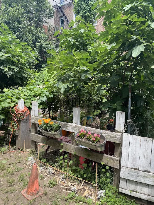 Jefferson Street Community Garden Picture 7