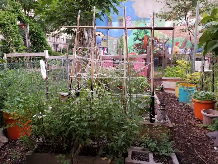 Jefferson Street Community Garden Picture 5