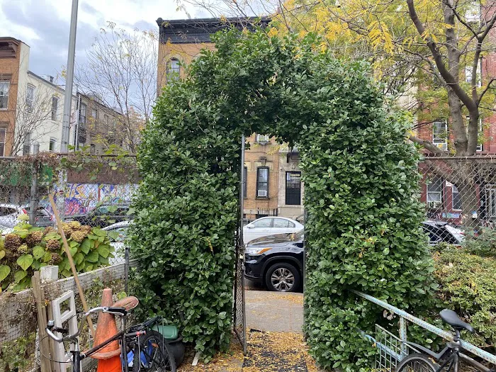 Jefferson Street Community Garden Picture 9