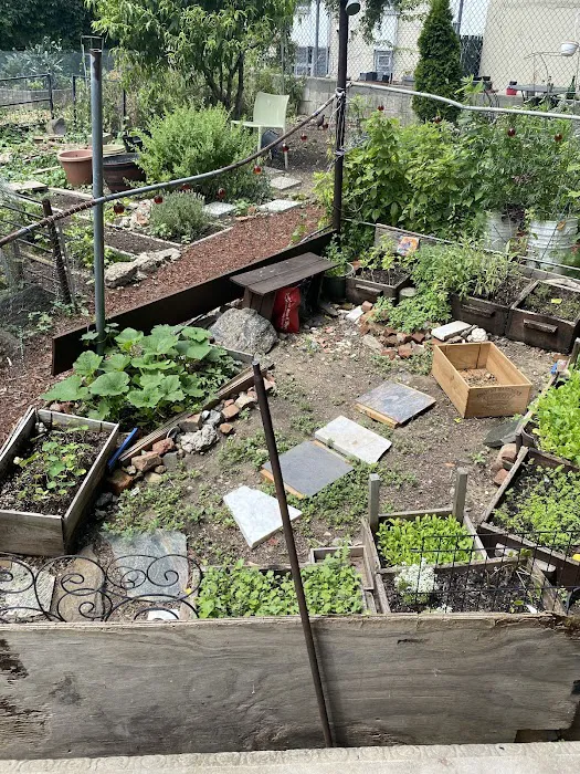 Jefferson Street Community Garden Picture 8