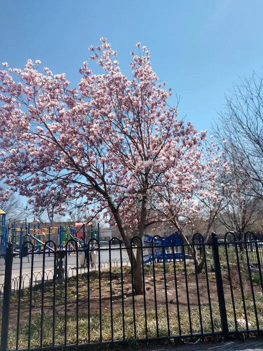 Maria Hernandez Park Picture 8