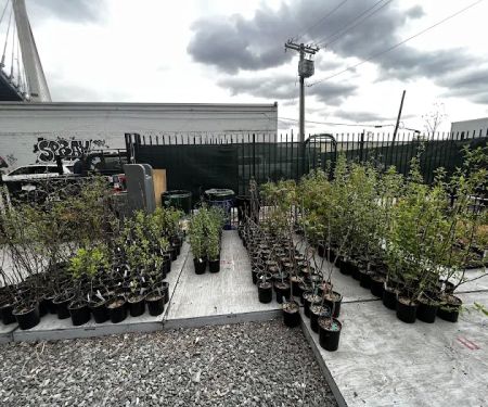 NBK Parks Native Nursery