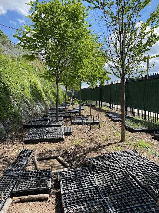 NBK Parks Native Nursery Picture 4