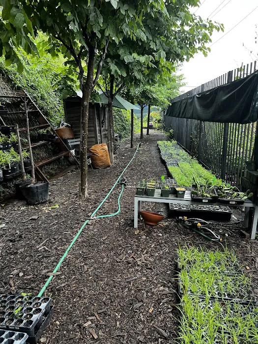 NBK Parks Native Nursery Picture 3