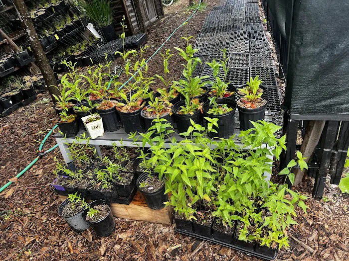 NBK Parks Native Nursery Picture 5