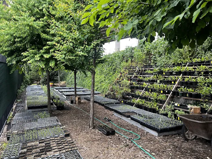 NBK Parks Native Nursery Picture 10