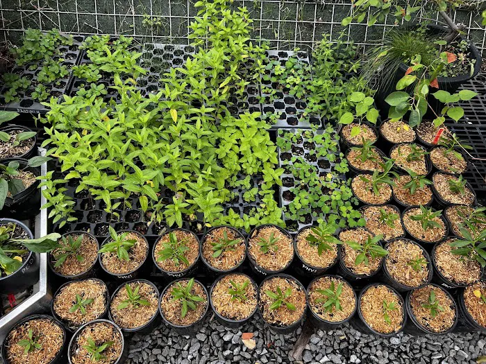NBK Parks Native Nursery Picture 7